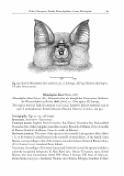 The Bats of Somalia and Neighbouring Areas